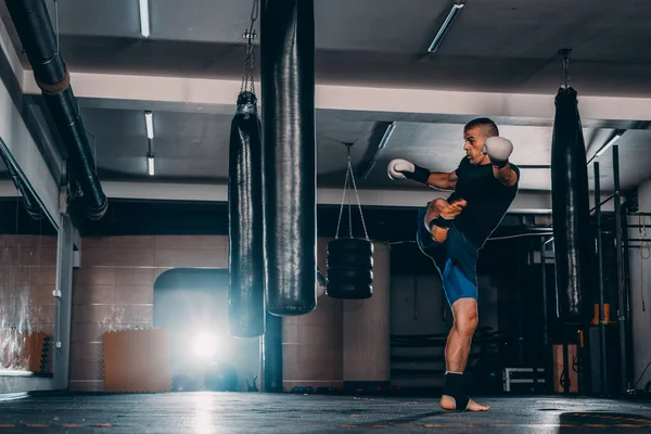 Profi Boxer Kämpfen Und Trainieren Fitnessstudio Kräftiges Muskulöses Manntraining Und — Stockfoto