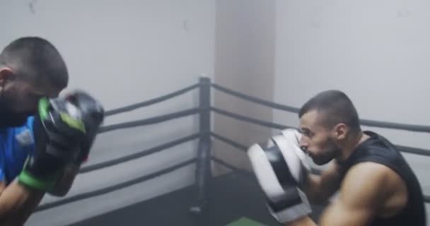 Boxeador Patada Preparándose Para Luchar — Vídeos de Stock