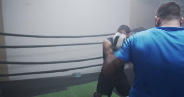 Two Men Sparring Gym — Stock Video