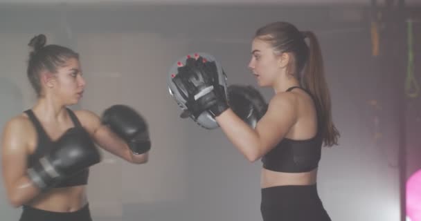 Nahaufnahme Von Zwei Mädchen Beim Boxen Fitnessstudio — Stockvideo