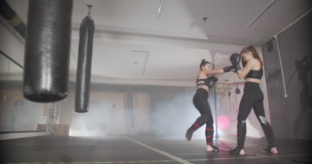 Dos Chica Preparándose Para Boxeo Gimnasio — Vídeos de Stock