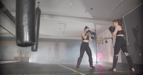 Dos Chica Preparándose Para Boxeo Gimnasio — Vídeos de Stock