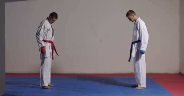 Karate Vechters Oefenen Een Indoor Gym — Stockvideo