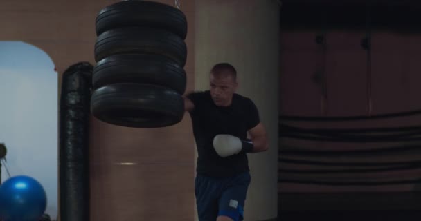 Boxer Formação Dentro Uma Garagem — Vídeo de Stock