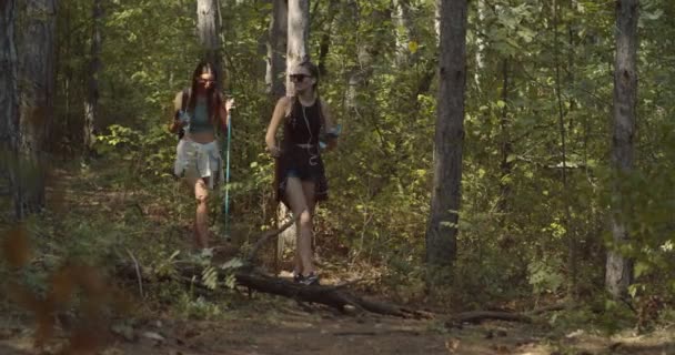 Dois Adolescentes Caminhando Pela Floresta Juntos — Vídeo de Stock