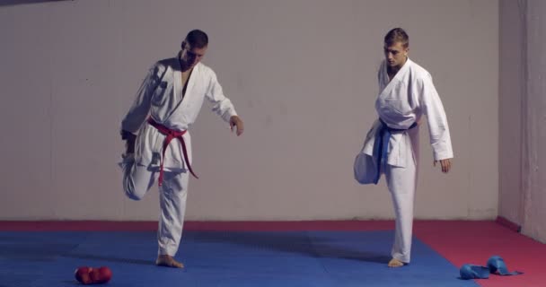 Karate Férfi Edz Beltérben Bemelegítés — Stock videók