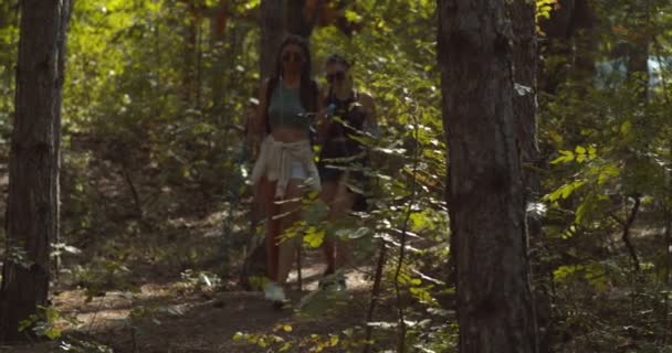 Dois Amigos Adolescentes Caminhando Juntos Floresta — Vídeo de Stock