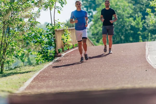 Dois Jovens Amigos Estão Correndo Pela Floresta Uma Trilha Jogging — Fotografia de Stock