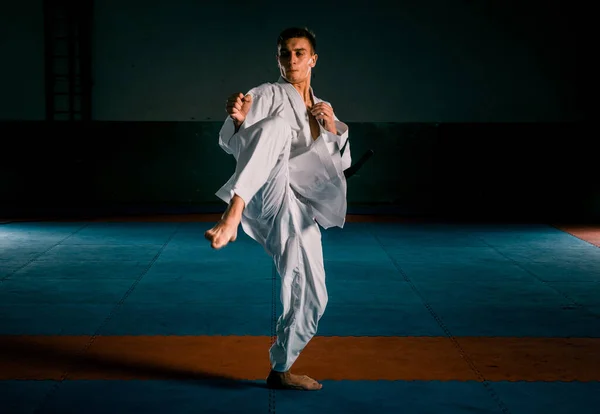 Homem Posando Treinamento Aikido Escola Artes Marciais Estilo Vida Saudável — Fotografia de Stock