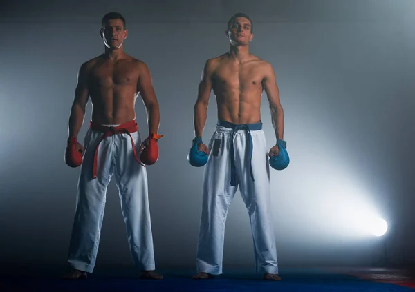 Hombres Posando Entrenamiento Aikido Escuela Artes Marciales Estilo Vida Saludable — Foto de Stock