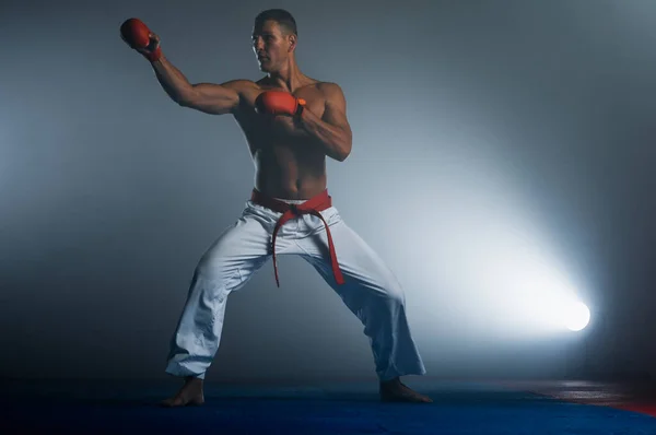 Hombre Posando Entrenamiento Aikido Escuela Artes Marciales Estilo Vida Saludable —  Fotos de Stock