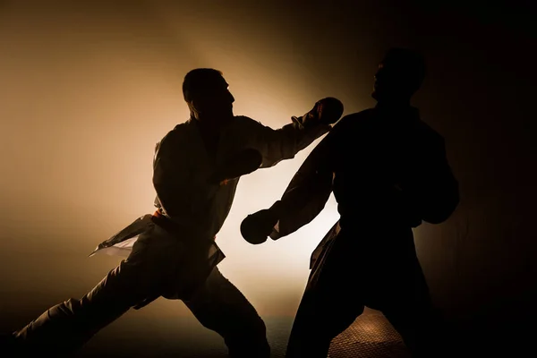 Karate man with black belt posing, champion of the world on black background studio shot