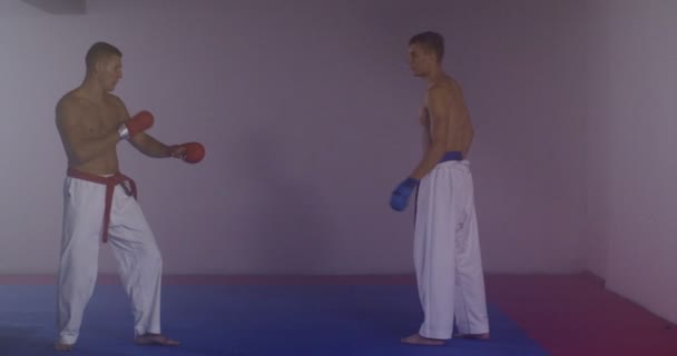 Karate Man Die Vecht Technieken Beoefent — Stockvideo