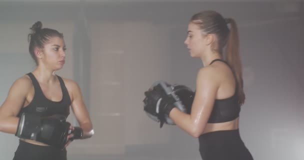 Närbild Två Flickor Boxning Gym — Stockvideo