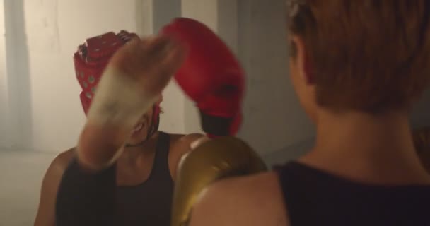 Kick Boxare Tränar Tillsammans — Stockvideo