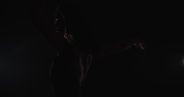 Ballerina女の子ありますダンスフリーでスタジオ上の暗い背景 シルエット — ストック動画