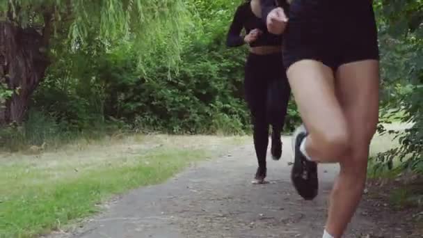 Duas Meninas Atraentes Bonitas Correndo Juntas Parque — Vídeo de Stock