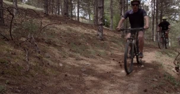 Grupo Amigos Estão Pedalando Lentamente Enquanto Desfrutam Natureza Seu Redor — Vídeo de Stock