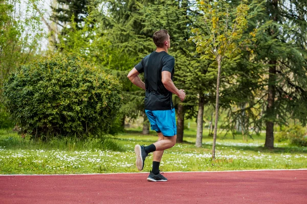 Correr Salud Estado Físico Corredor Entrenamiento Carrera Durante Entrenamiento Fitness —  Fotos de Stock