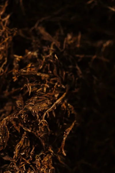 Corte fino tabaco detalhe fundo — Fotografia de Stock