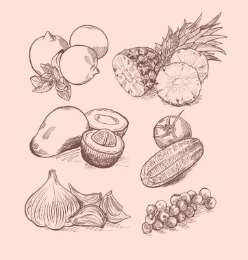 Meyve, sebze, meyve ve narenciye vektör kümesi