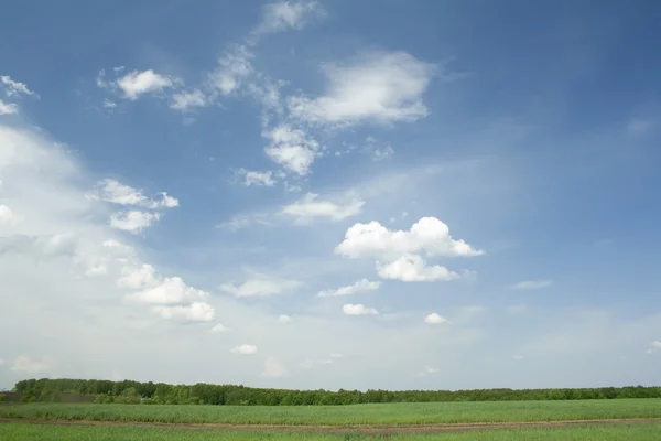 Paesaggio estivo. Nuvole — Foto Stock