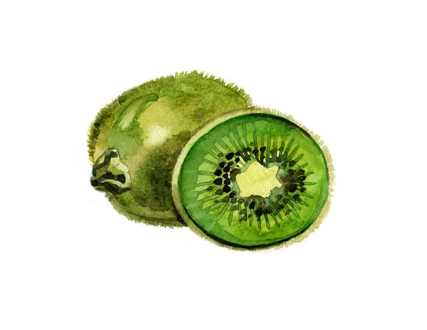 Kiwi på vit bakgrund. — Stockfoto