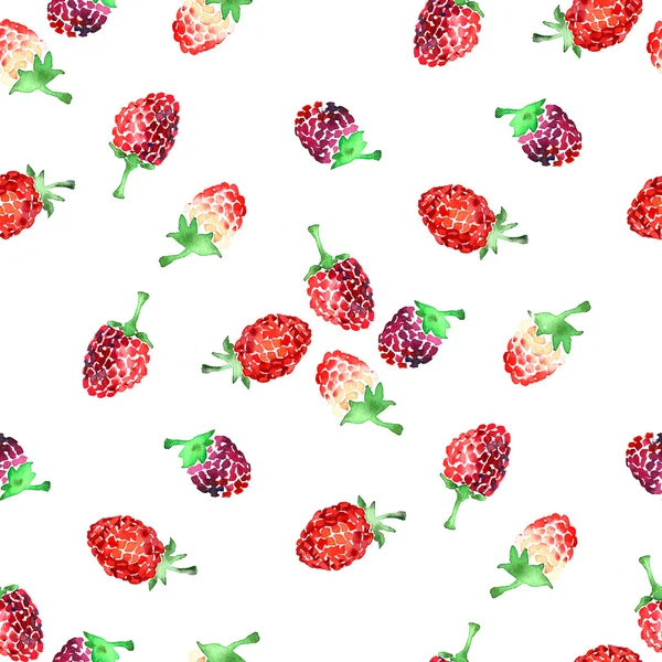 Aquarel zomer raspberry patroon — Stockfoto