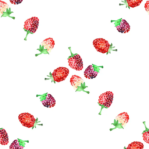 Aquarel zomer raspberry patroon — Stockfoto