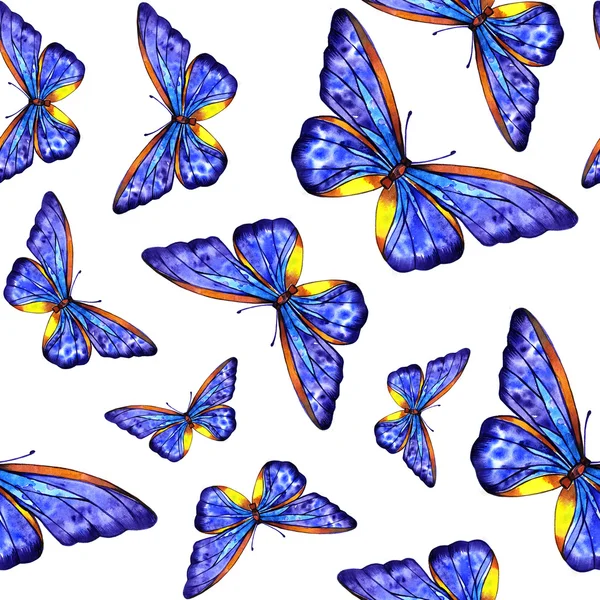 Verão borboleta aquarela — Fotografia de Stock