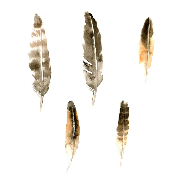 Watercolor grey feather set — Stock Photo, Image