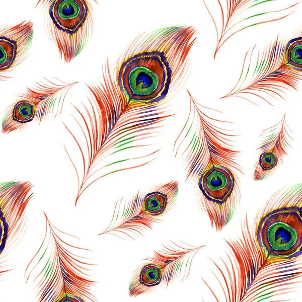 Padrão de penas de pavão aquarela — Fotografia de Stock