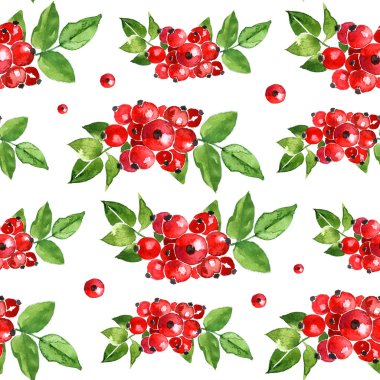 Suluboya yaz yalıtılmış kuşburnu desen