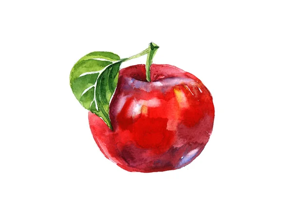 수채화 여름 절연된 빨간 사과 — 스톡 사진