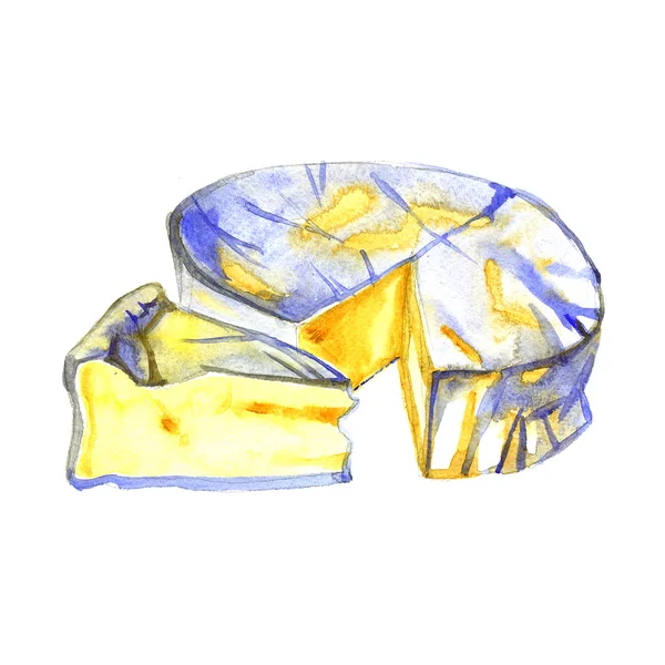 Ακουαρέλα γάλα τυρί brie — Φωτογραφία Αρχείου