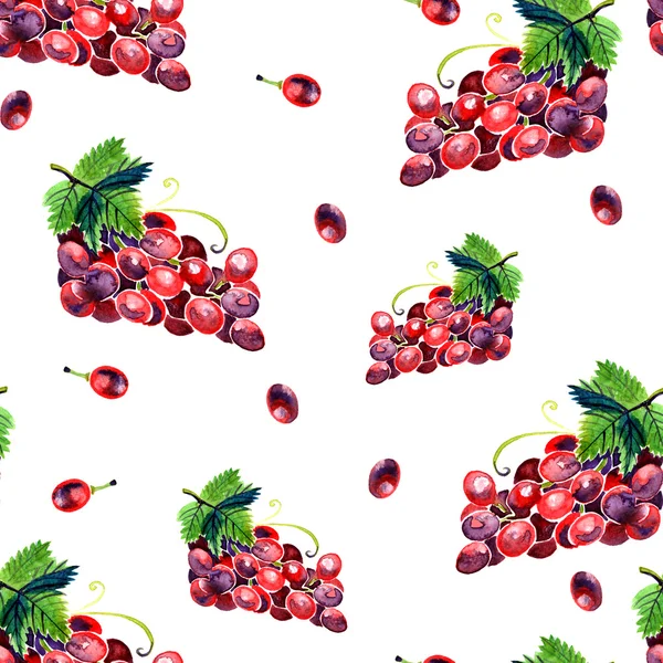 Patrón de uva de verano acuarela — Foto de Stock