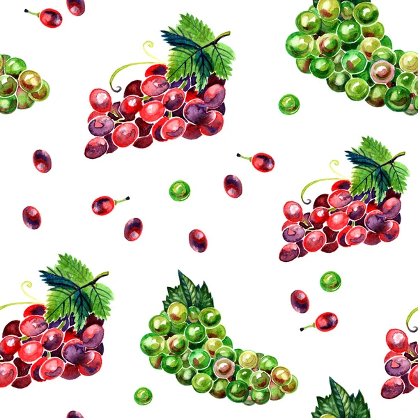 Sikat warna air dengan pola anggur hijau dan merah — Stok Foto