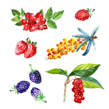 Suluboya yaz berry ayarla