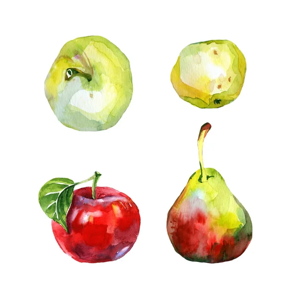 Aquarell Äpfel und Birnen. — Stockfoto