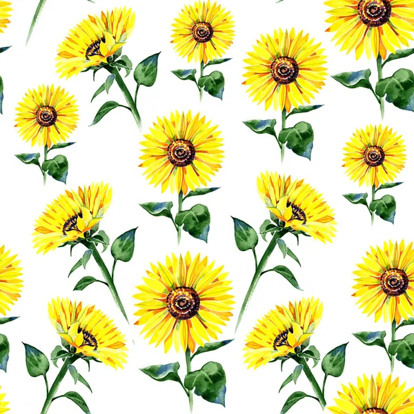 Ayçiçeği yaz suluboya desen boyama