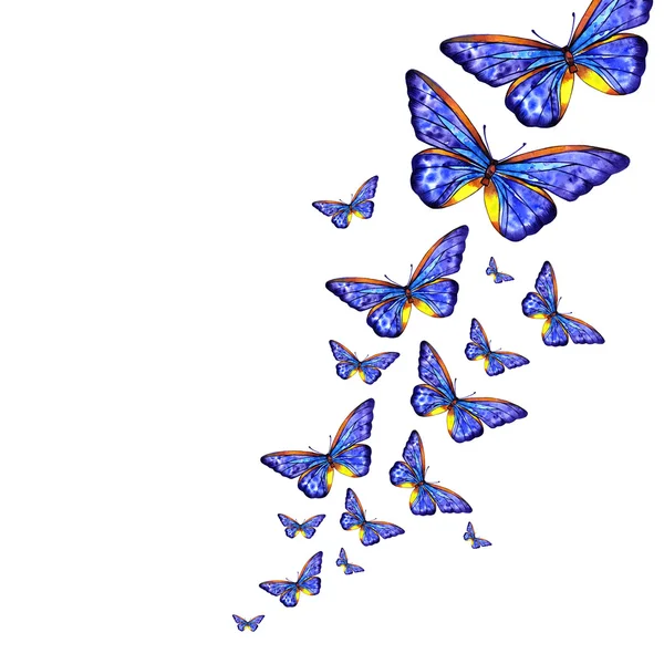 Aquarell fliegende blaue Schmetterlinge auf weißem Hintergrund — Stockfoto