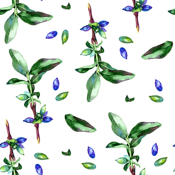 Watercolor honeysuckle berries illustration pattern — Stock Photo, Image