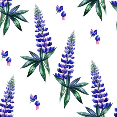 Sulu Boya lupines seamless modeli. Bahar çiçek. Çiçek arka plan.
