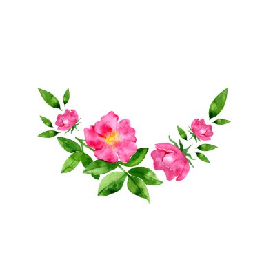 Sulu Boya çiçekler. Elle çizilmiş yabani gül çiçek ve yaprak