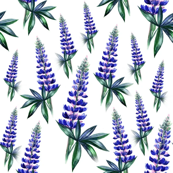 Aquarell-Lupinen nahtloses Muster. Frühlingsblume. Floraler Hintergrund. — Stockfoto