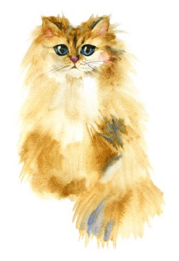 Suluboya portre sevimli bir kedi. El çizimi boyalı.