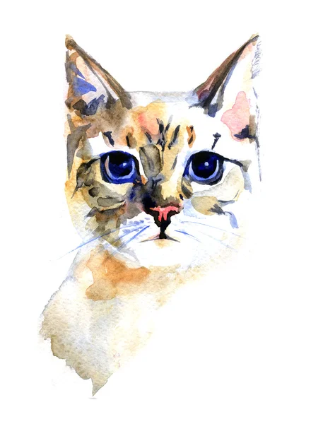 Watercolor portrait of the cat on white background — Stock Photo, Image