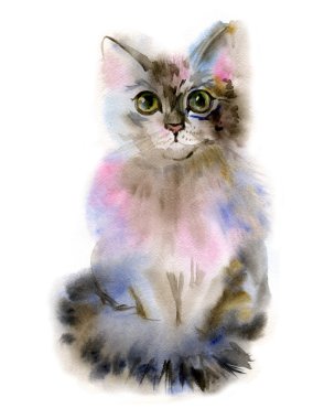 Beyaz zemin üzerine suluboya el çizilmiş kedi