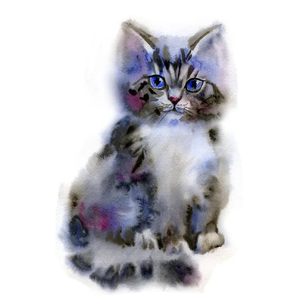 Aquarelle drôle petit chaton moelleux isolé sur fond blanc — Photo