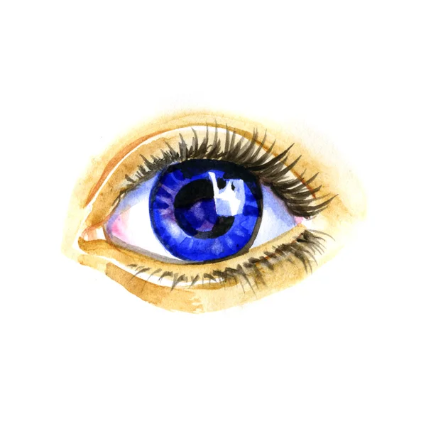 Watercolor artwork of eye. Hand drawn illustration — Stock Photo, Image